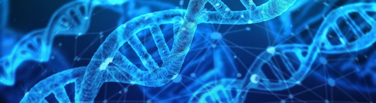 Illustration of blue DNA double helixes